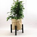 Kwietnik, stojak na kwiaty dąb czarny do donic max 25 cm / h20