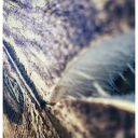 ŁÓDKA - PIROGRAFIA (22X23 CM) OBRAZ WYPALANY NA DREWNIE NATURA JEZIORO wyjątkowy, handmade