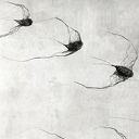 Instalacja z metalu nr IV - ptaki w kluczu (10 sztuk)