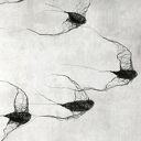 Instalacja z metalu nr IV - ptaki w kluczu (10 sztuk)