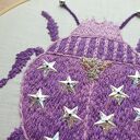 Chrząszcz z Gwiezdnego Ogrodu