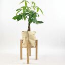 Kwietnik, stojak na kwiaty dąb natural - do donic max 20 cm /h30