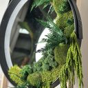 Lustro "Księżyc Natury", mech i rośliny stabilizowane