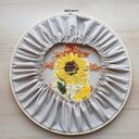 Chrząszcz ze Słonecznego Ogrodu