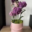 Wieczne kwiaty na Dzień Kobiet - fioletowy flowerbox z goździków i niezapominajek