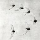 Instalacja z metalu nr VI - ptaki w kluczu (6 sztuk)