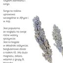 Rustykalny wianek nadmorski boho z suszonych kwiatów - dekoracja handmade