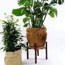 Kwietnik, stojak na kwiaty dąb brąz - do donic max 35 cm / h30