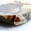 Jeleń - PIROGRAFIA (18X32 CM) OBRAZ WYPALANY NA DREWNIE, WYJĄTKOWY PREZENT premium