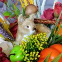 Dekoracja jesienna w koszyku z dyniami. Stroik jesienny z lisem. Ozdoba