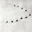 Instalacja z metalu nr IV - ptaki w kluczu (10 sztuk)