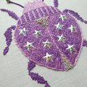 Chrząszcz z Gwiezdnego Ogrodu