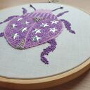 Chrząszcz z Gwiezdnego Ogrodu