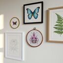 Chrząszcz z Pałacowego Ogrodu