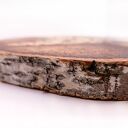 KOT SFINKS - PIROGRAFIA (17X21 CM) OBRAZ WYPALANY NA DREWNIE, dla miłośnika kotów, portret premium