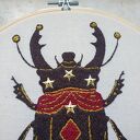 Chrząszcz z Magicznego Cyrku