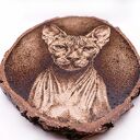 KOT SFINKS - PIROGRAFIA (17X21 CM) OBRAZ WYPALANY NA DREWNIE, dla miłośnika kotów, portret premium