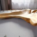 Taca / misa z korzenia orzecha włoskiego rzeźbiona ręcznie