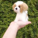 Pies rasy shih tzu Na zamówienie Spersonalizowane 13 cm