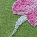 Modliszka storczykowa