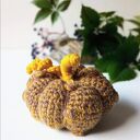 Dynie kolorowe / fantazyjne dekoracyjne Handmade