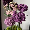 Wieczne kwiaty na Dzień Kobiet - fioletowy flowerbox z goździków i niezapominajek