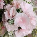 Flowerbox XXL z liliami - elegancki prezent i dekoracja wnętrz