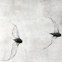 Instalacja z metalu nr VI - ptaki w kluczu (6 sztuk)