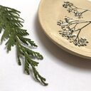 Talerzyk z roślinkami - ceramiczna podstawka na biżuterię