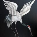 Zasłony grube 360g Japan Birds - komplet 2 szt zaciemniających