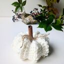 Dynia fantazyjna szydełkowa - jesienna dekoracja handmade z cynamonowym ogonkiem