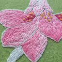 Modliszka storczykowa