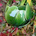 Lampion