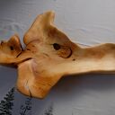 Taca / misa z korzenia orzecha włoskiego rzeźbiona ręcznie