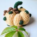 Dynie kolorowe / fantazyjne dekoracyjne Handmade
