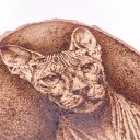 KOT SFINKS - PIROGRAFIA (17X21 CM) OBRAZ WYPALANY NA DREWNIE, dla miłośnika kotów, portret premium