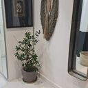 Oliwkowa makrama ścienna handmade - dekoracja boho do domu