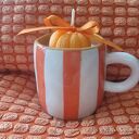 Świeca sojowa handmade w filiżance marki Homla