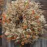dekoracje: Wianek jesienny na drzwi - owoce róża natura ściana