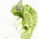 Oryginalna akwarela. Kameleon