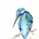 Oryginalna akwarela. Zimorodek