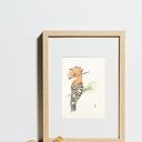 Oryginalna akwarela. Dudek