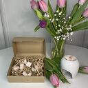 Kostki zapachowe 100g Arbuz