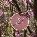 Sakura - japońska wiśnia