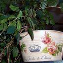 FRANCUSKIE róże - osłonka na doniczkę