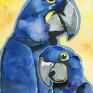niebieskie dom okolicznościowa, na urodziny z papugami kartki