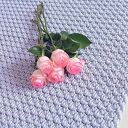 Dywan ze sznurka bawełnianego Mosses 60/120cm