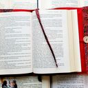 Wodoodporne etui na książkę i notes: czerwony ornament