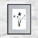 Grafika z ramą - nr 124 - chabry