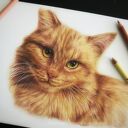 Realistyczny portret Twojego pupila